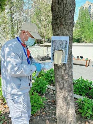 安裝餌站、配置藥液、辨析蟻種…申城滅蟻能手"論劍"